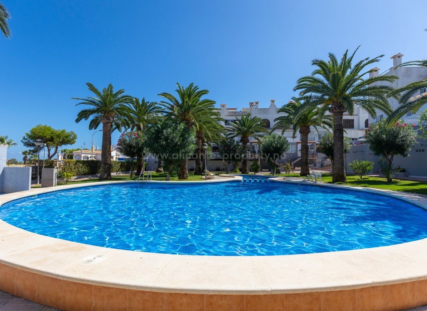 Leilighet / leilighet i La Mata