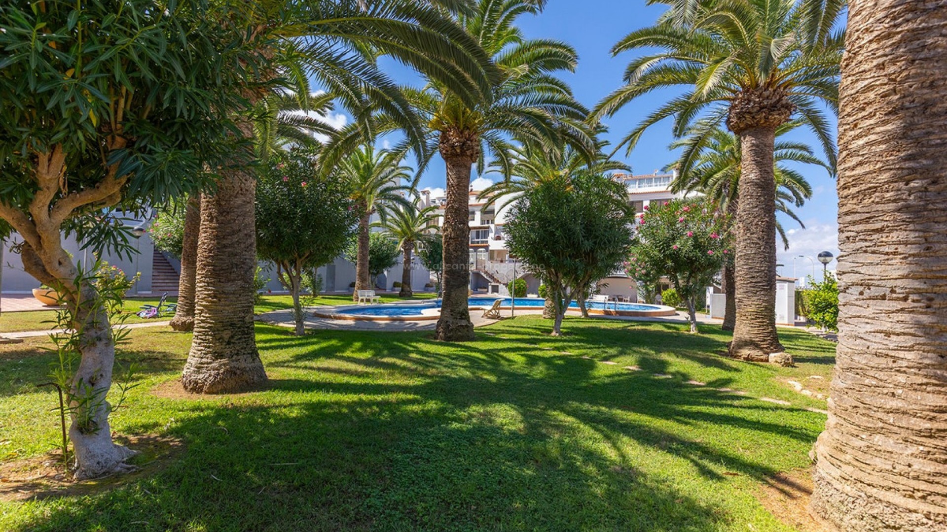 Leilighet / leilighet i La Mata