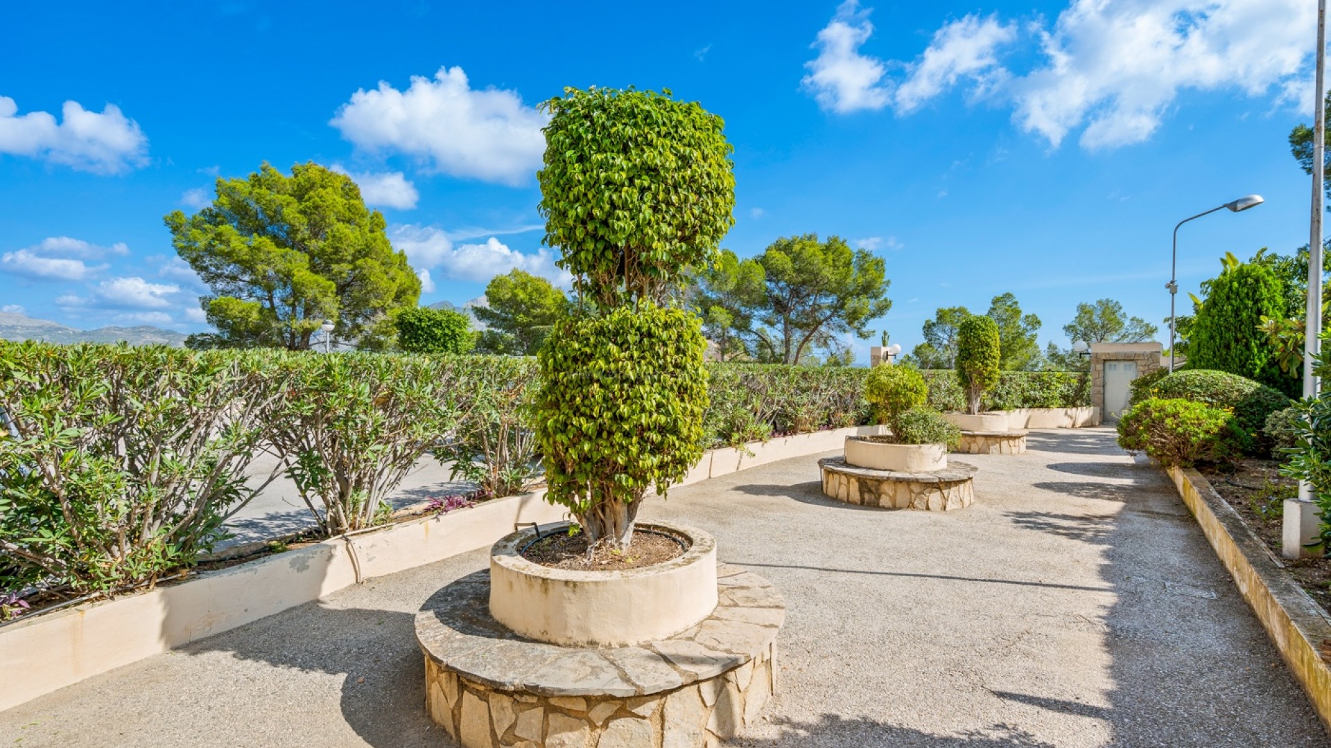 Leilighet / leilighet i La Nucía