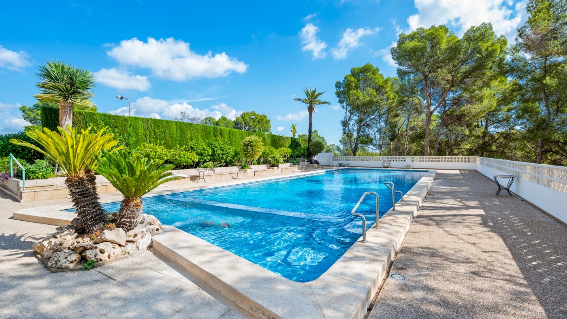 Leilighet / leilighet i La Nucía