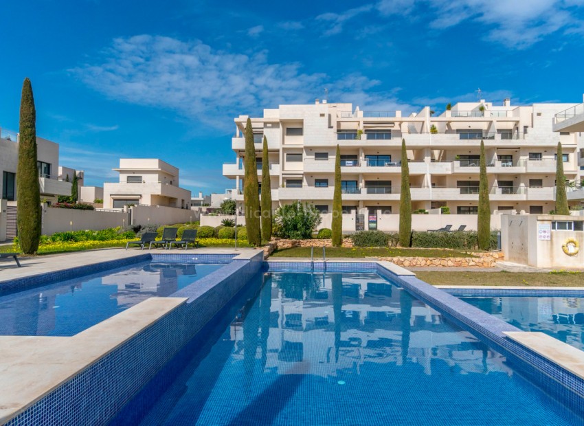 Leilighet / leilighet i La Zenia