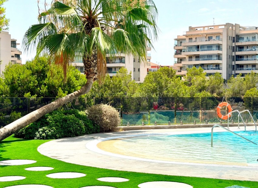 Leilighet / leilighet i La Zenia