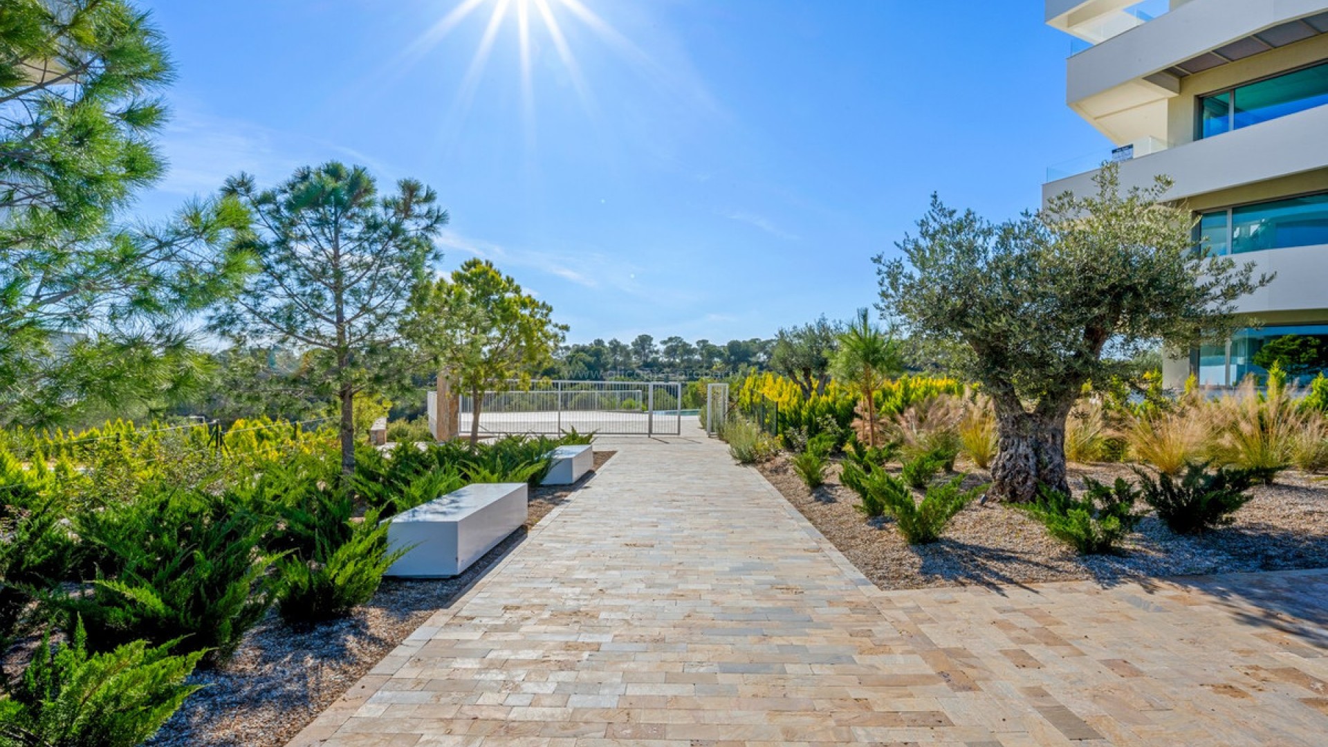 Leilighet / leilighet i Las Colinas Golf Resort