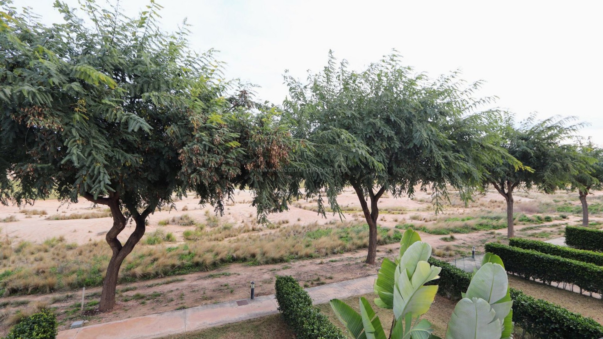 Leilighet / leilighet i Las Terrazas de La Torre Golf Resort