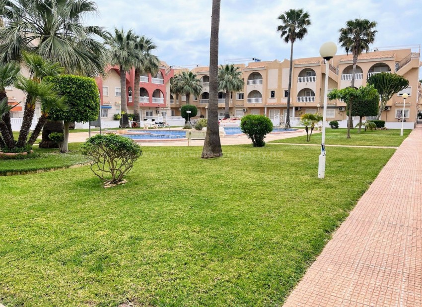 Leilighet / leilighet i Los Alcazares Centro