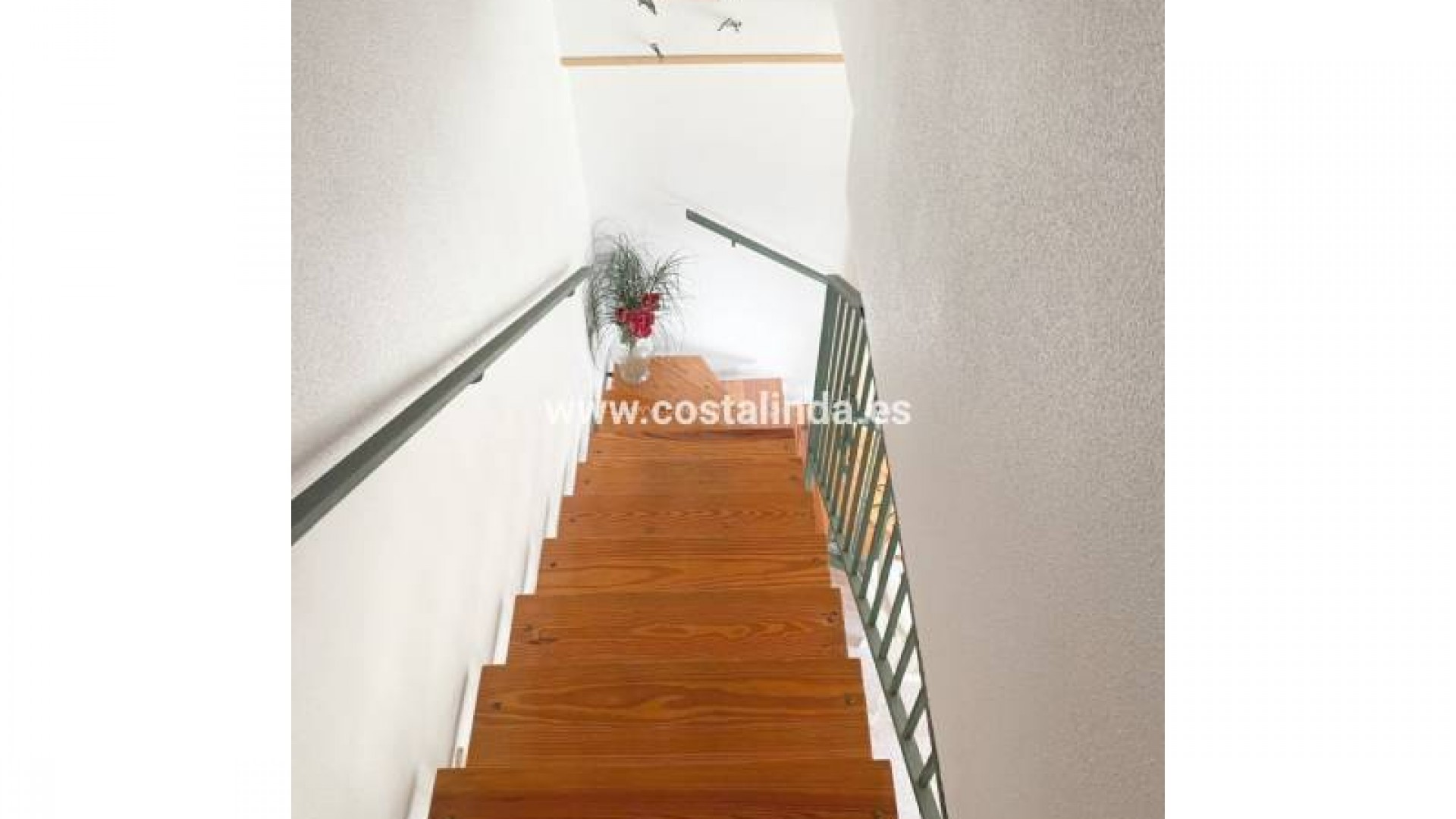 Leilighet / leilighet i Los Alcazares