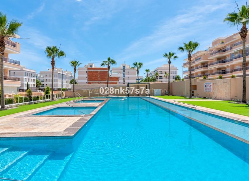 Leilighet / leilighet i Los Dolses