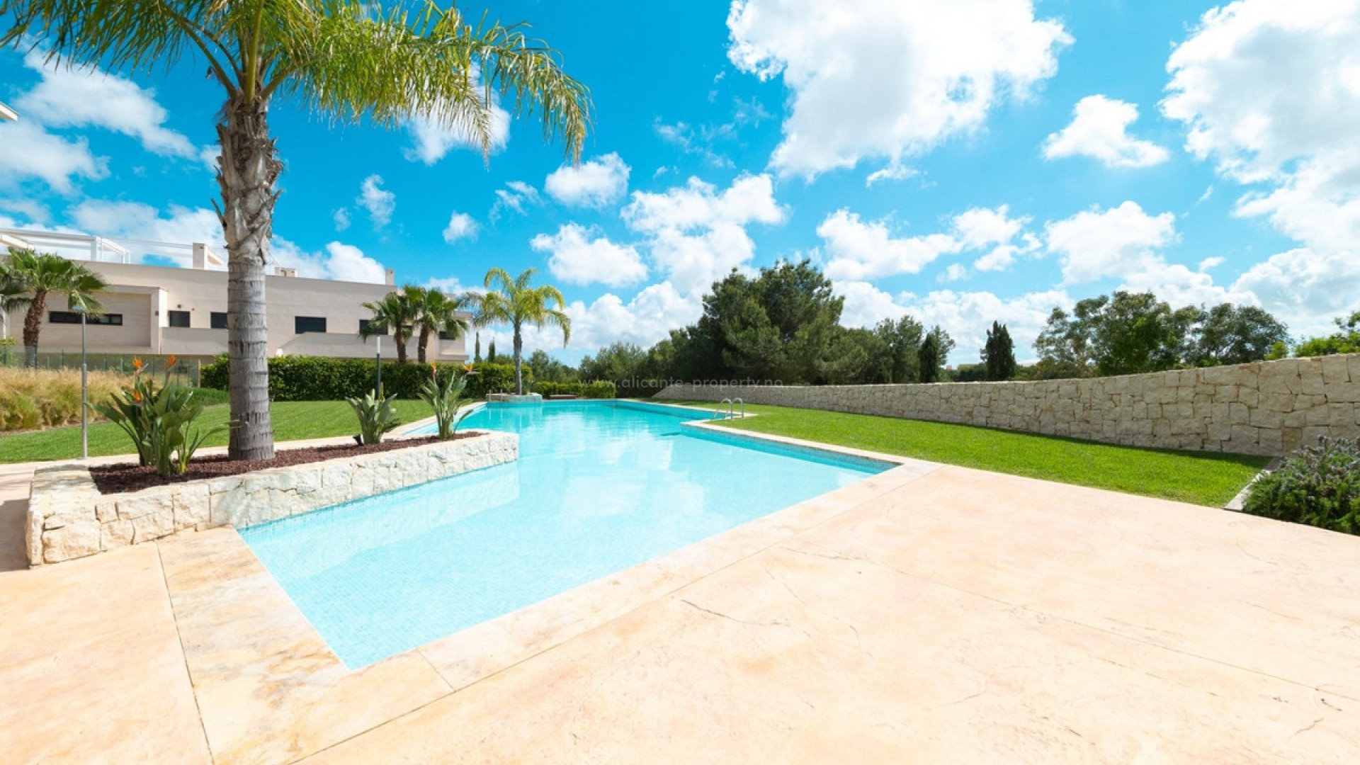 Leilighet / leilighet i Pilar de la Horadada Centro