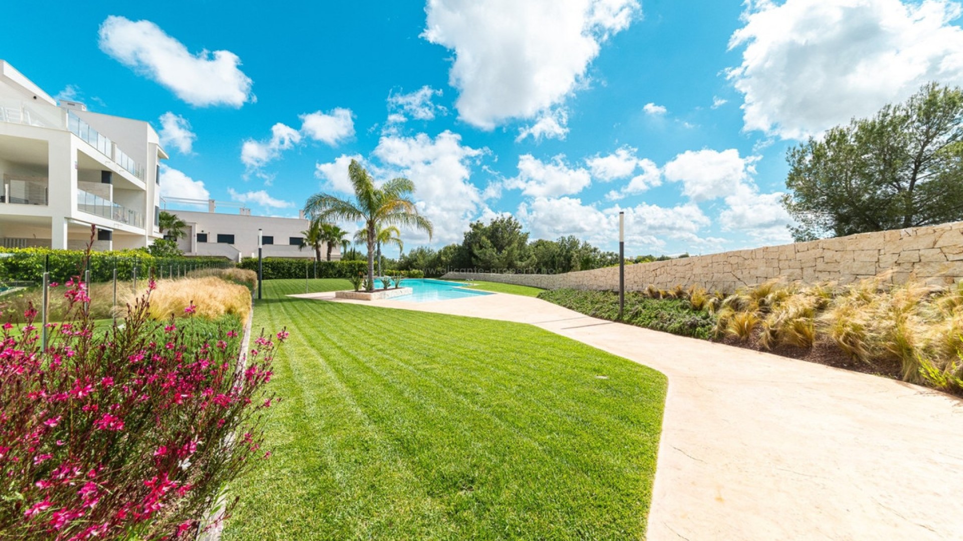 Leilighet / leilighet i Pilar de la Horadada Centro