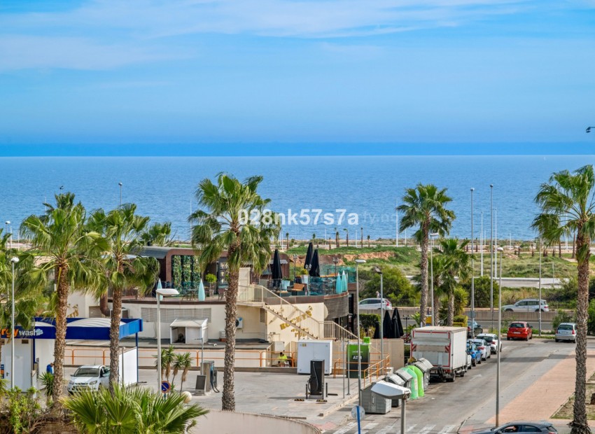 Leilighet / leilighet i Playa Flamenca