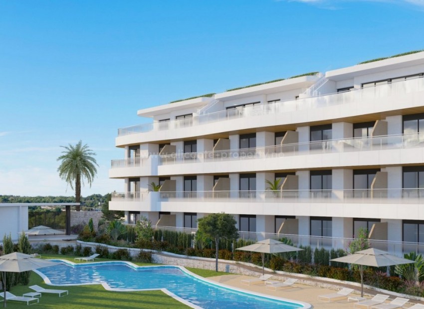 Leilighet / leilighet i Playa Flamenca