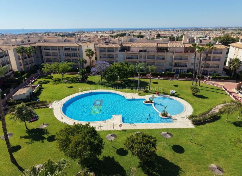 Leilighet / leilighet i Playa Flamenca