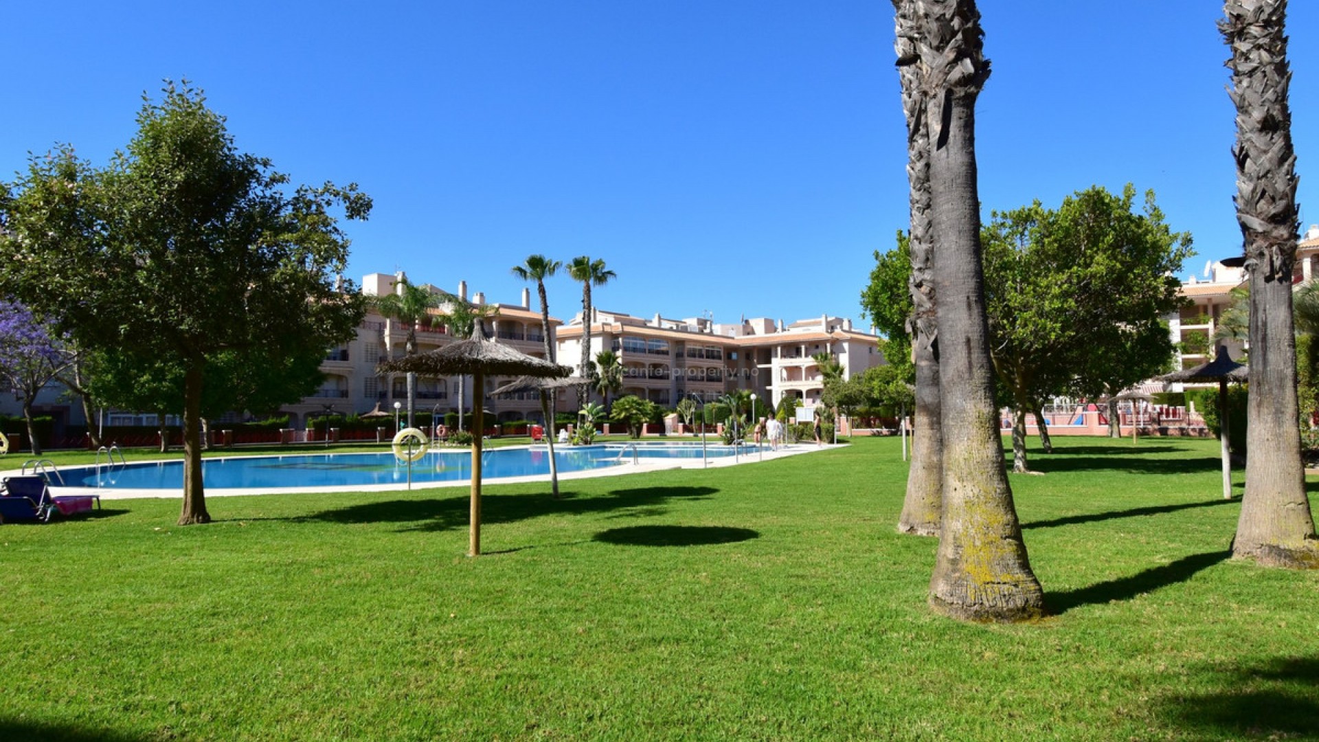 Leilighet / leilighet i Playa Flamenca