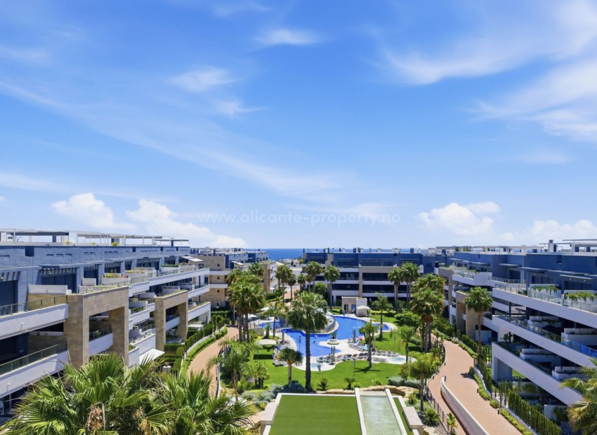 Leilighet / leilighet i Playa Flamenca
