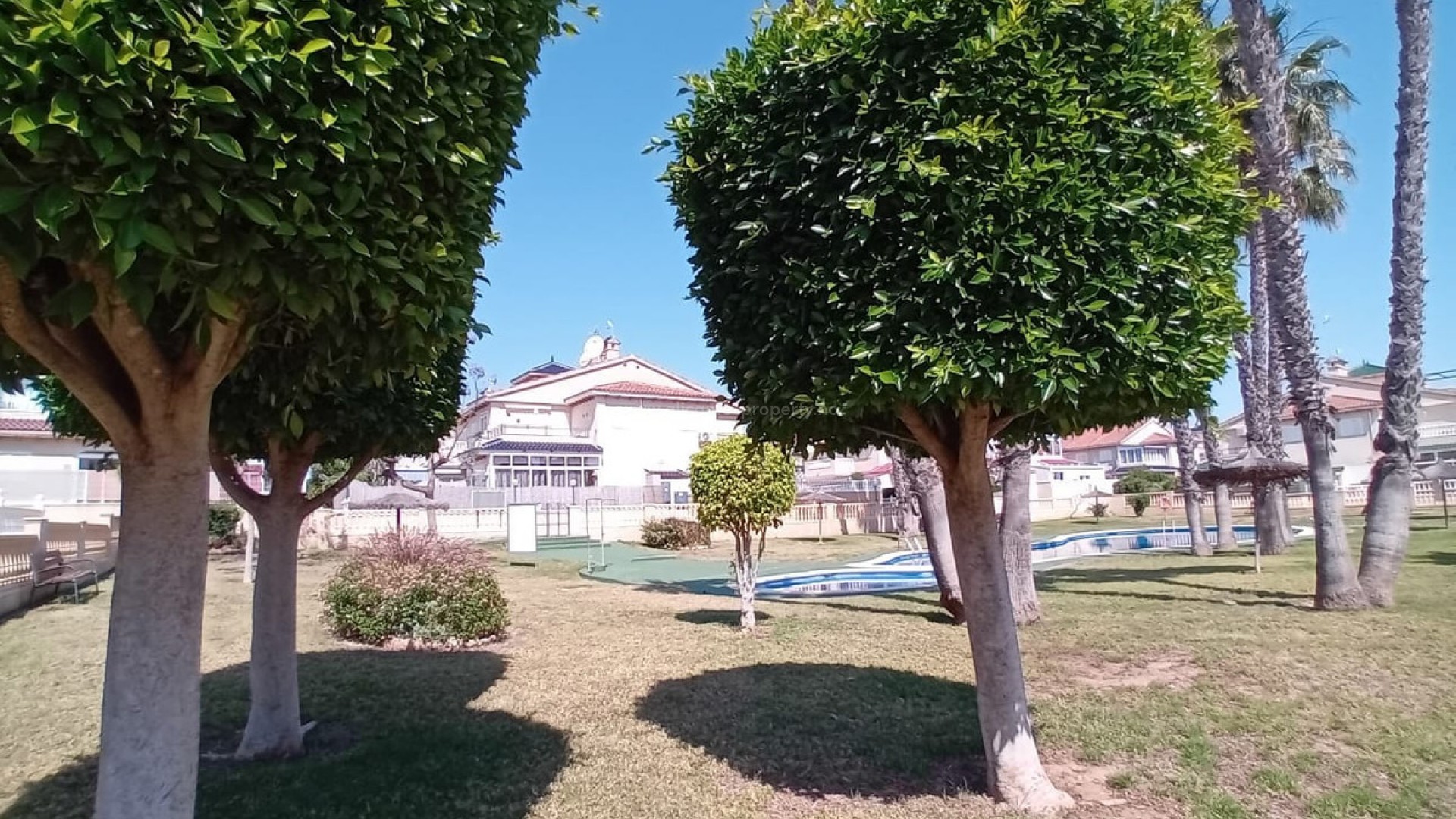 Leilighet / leilighet i Playa Flamenca
