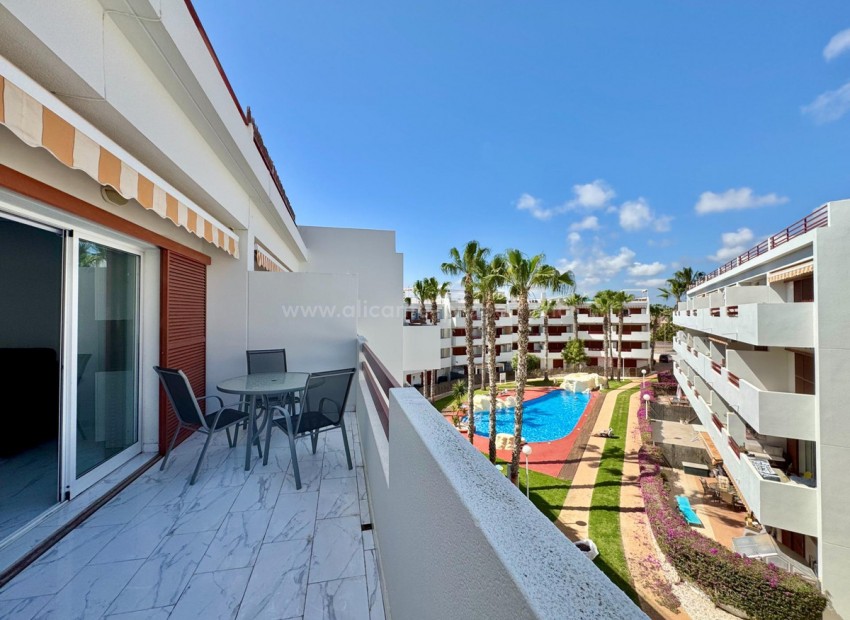 Leilighet / leilighet i Playa Flamenca