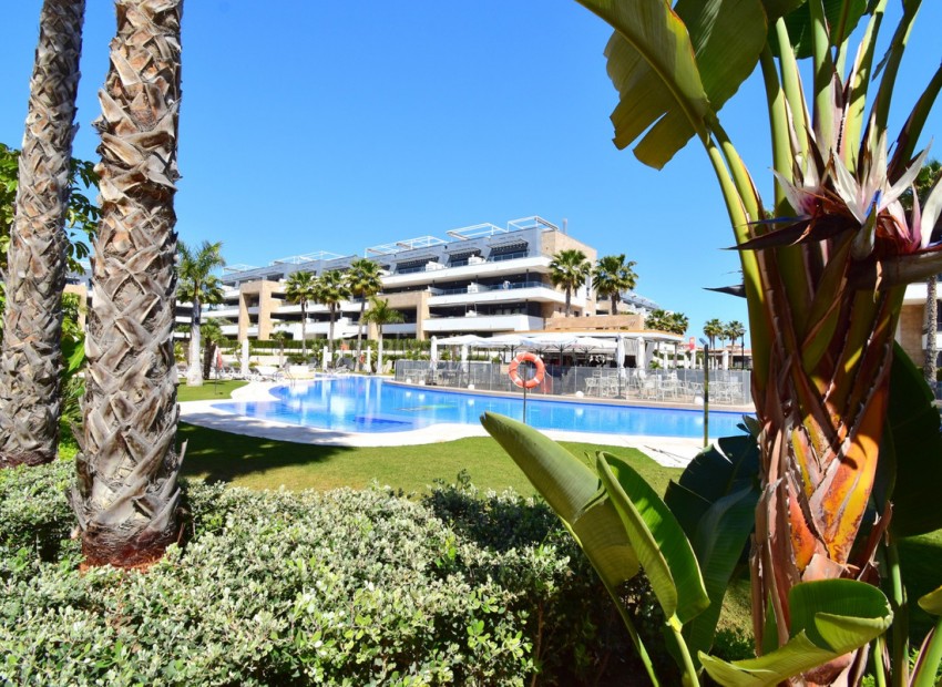 Leilighet / leilighet i Playa Flamenca