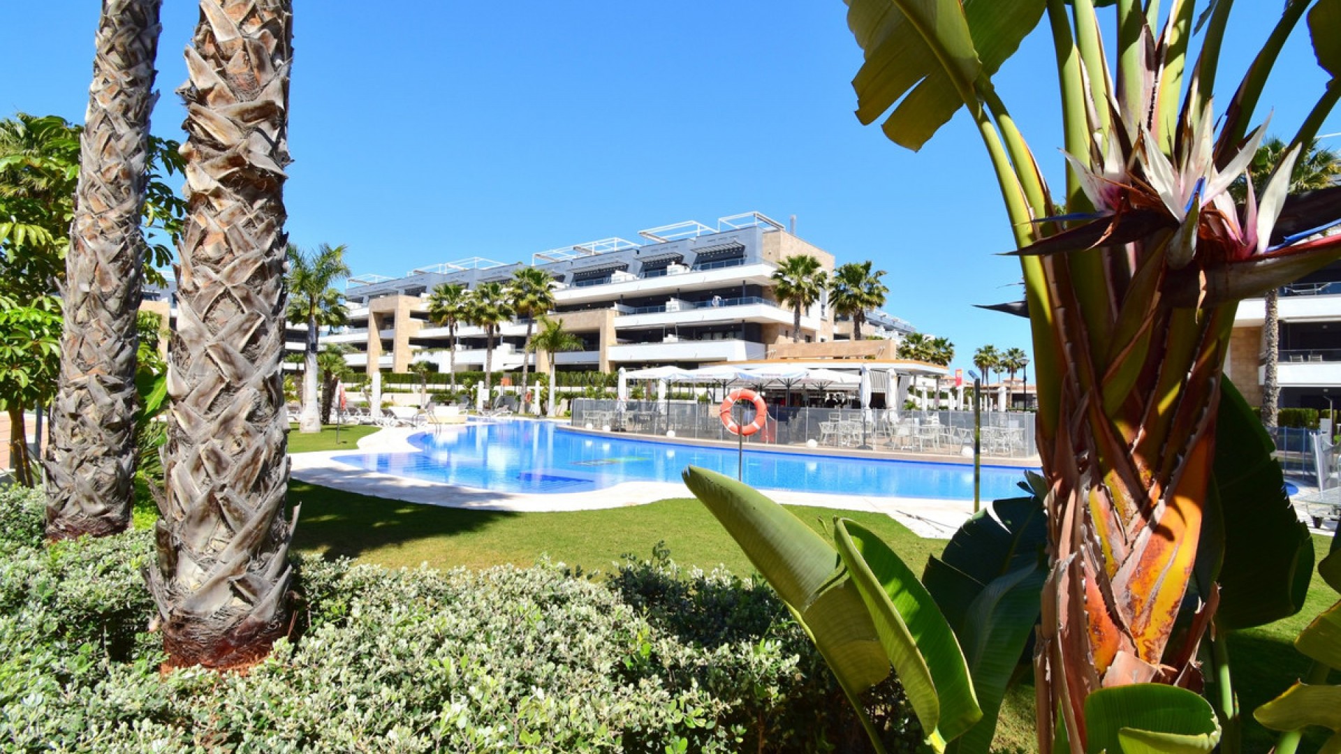 Leilighet / leilighet i Playa Flamenca