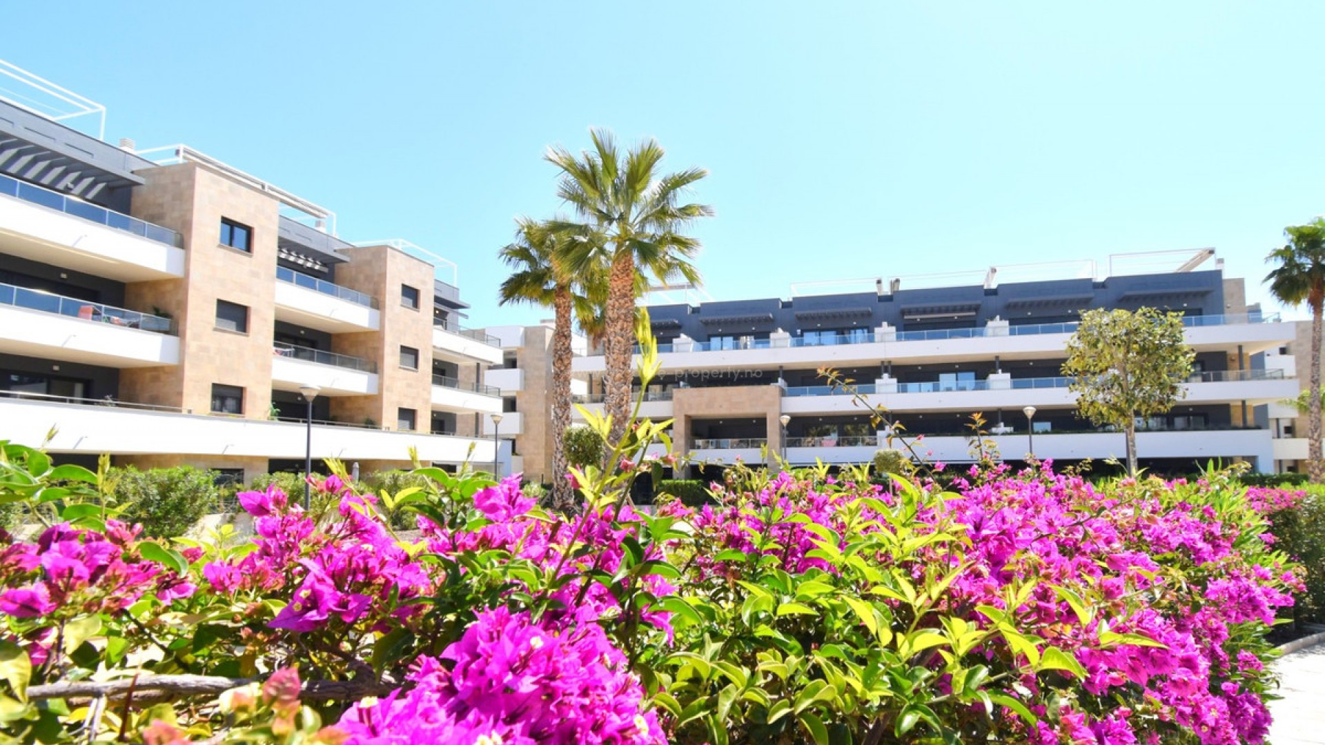 Leilighet / leilighet i Playa Flamenca