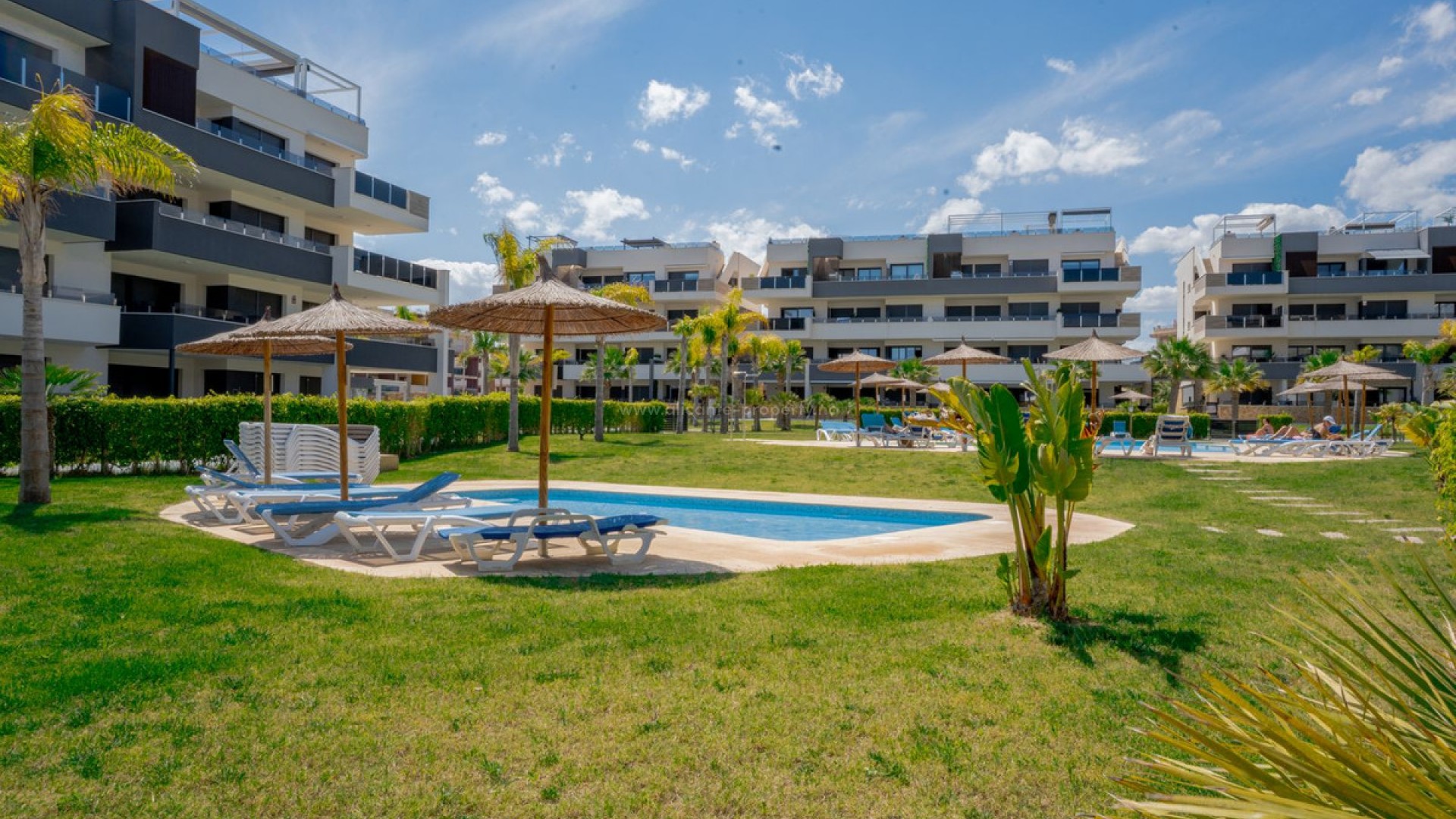 Leilighet / leilighet i Playa Flamenca