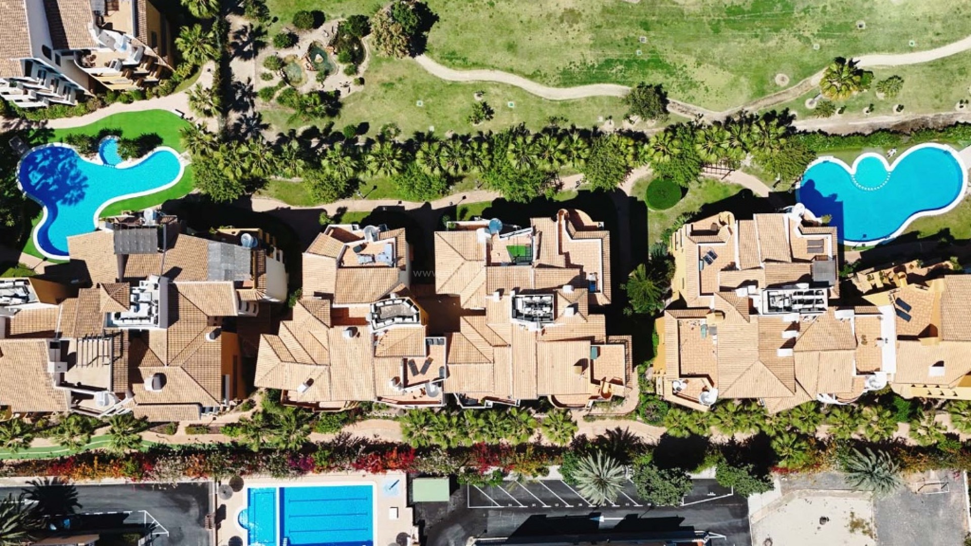 Leilighet / leilighet i Punta Prima