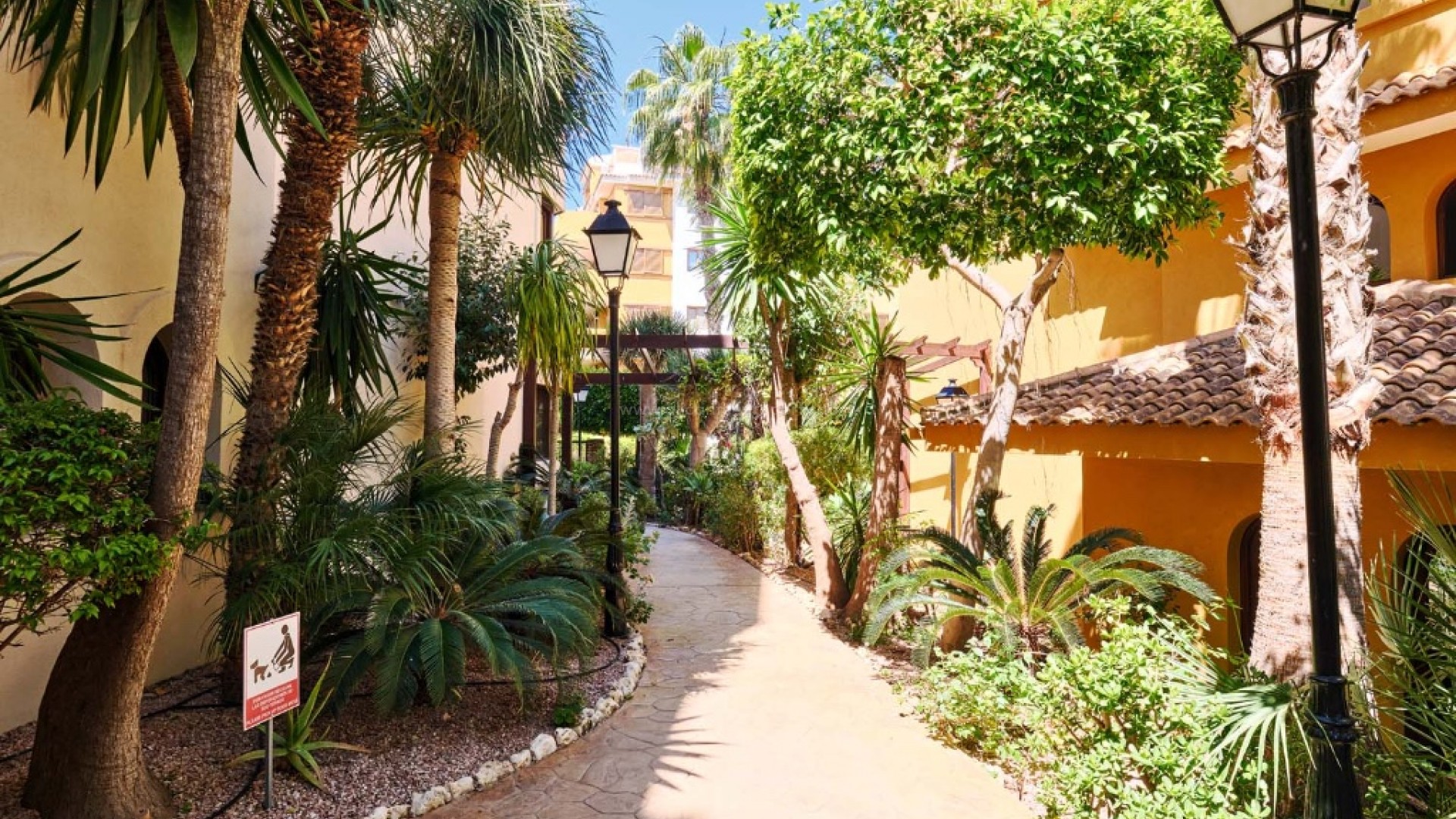 Leilighet / leilighet i Punta Prima