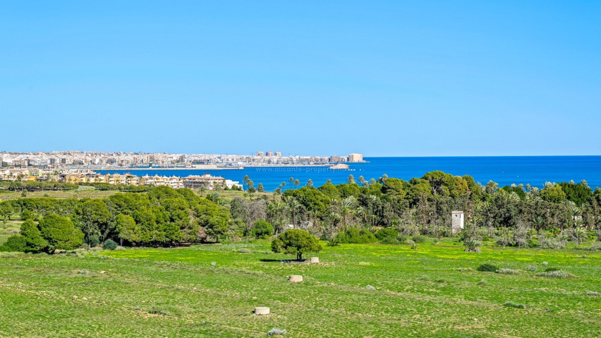 Leilighet / leilighet i Punta Prima