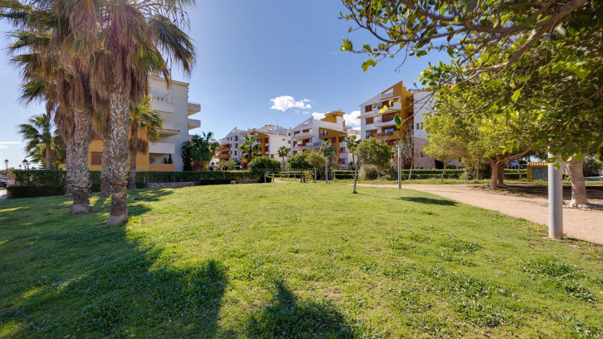 Leilighet / leilighet i Punta Prima