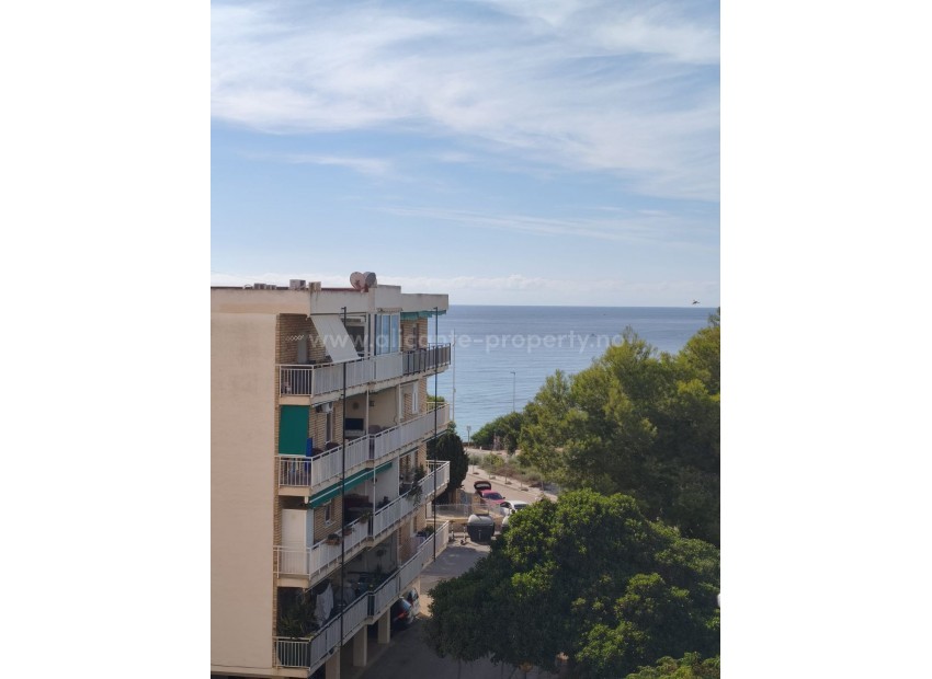 Leilighet / leilighet i Punta Prima