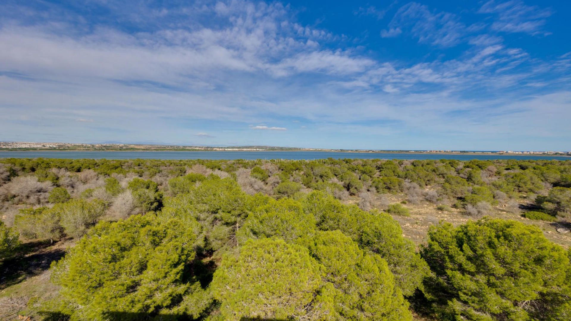 Leilighet / leilighet i San Luis