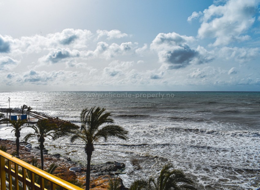 Leilighet / leilighet i Torrevieja Centro