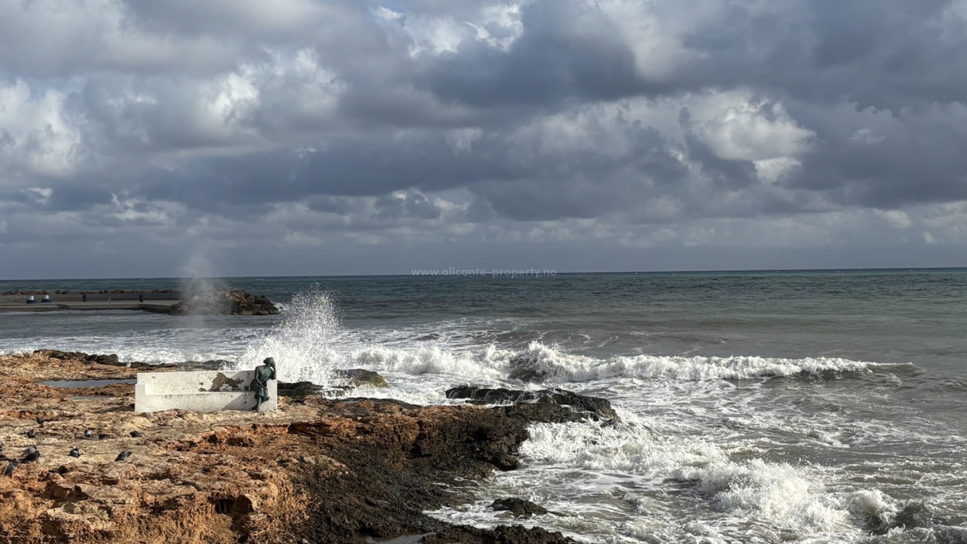 Leilighet / leilighet i Torrevieja Centro