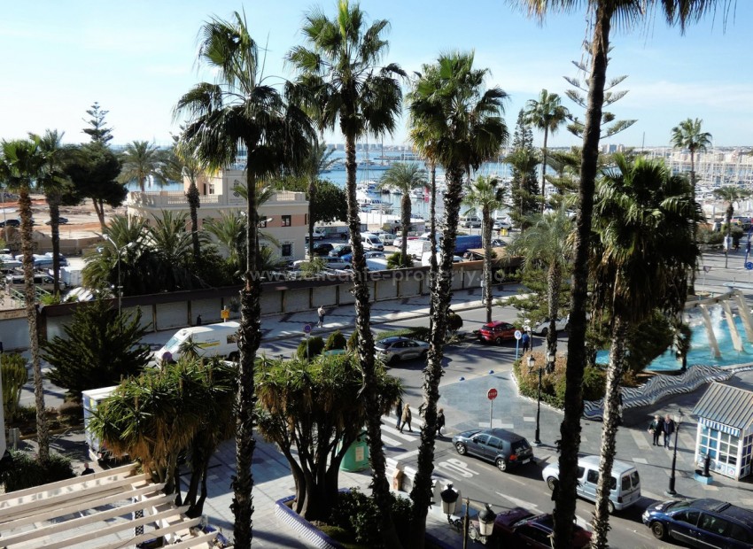 Leilighet / leilighet i Torrevieja Centro
