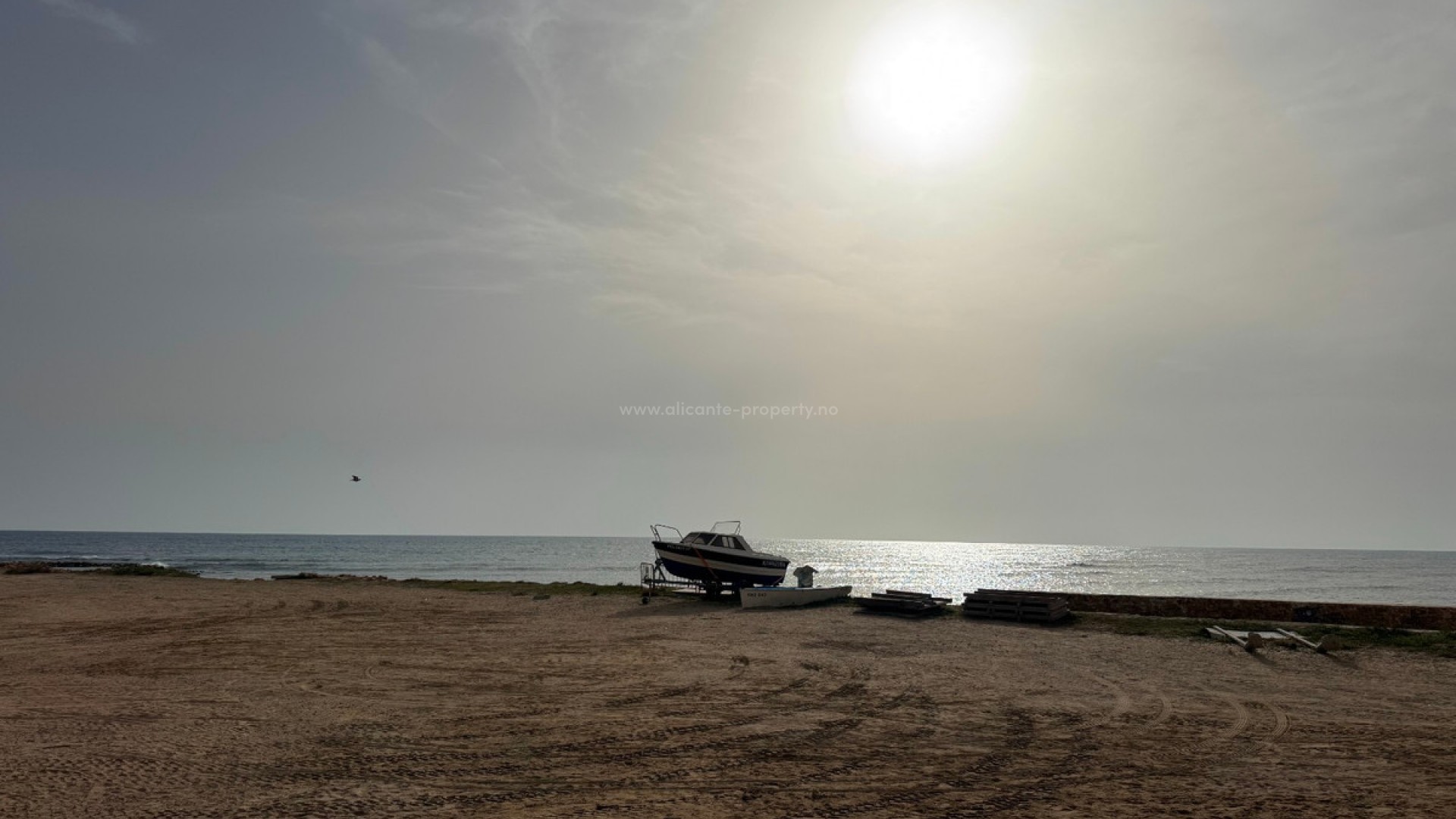 Leilighet / leilighet i Torrevieja Centro