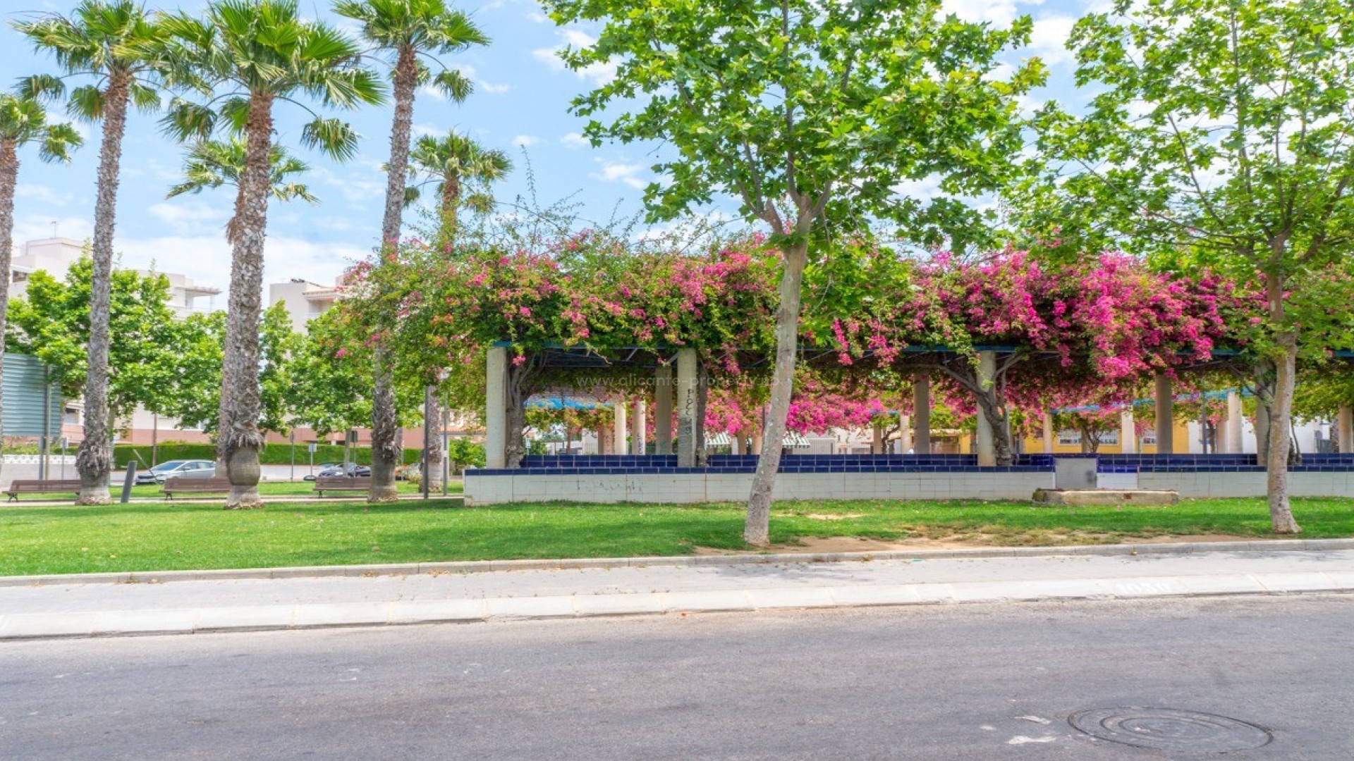 Leilighet / leilighet i Torrevieja Centro