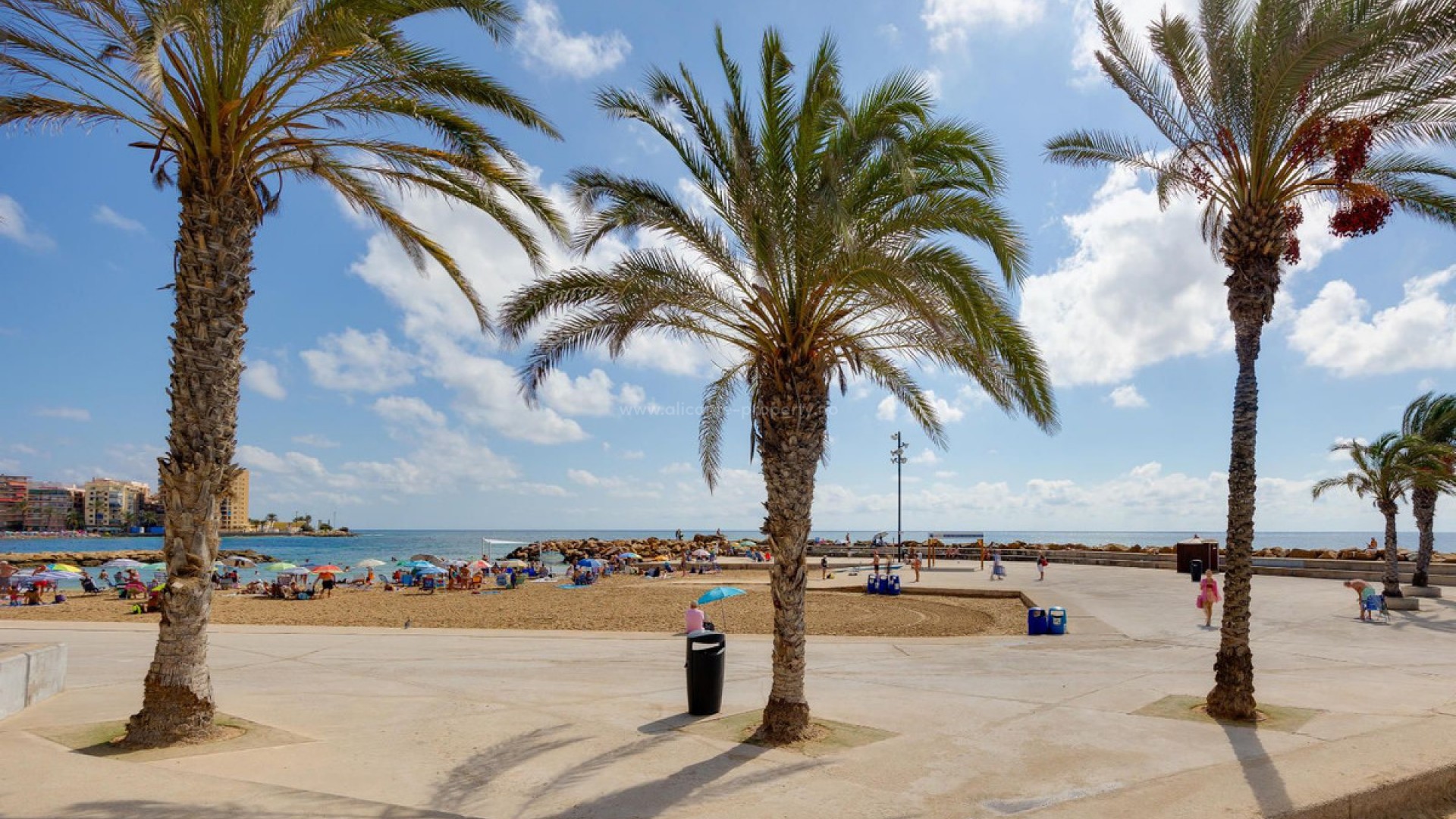 Leilighet / leilighet i Torrevieja Centro