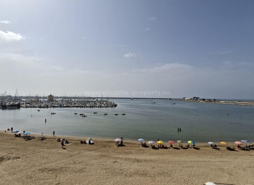 Leilighet / leilighet i Torrevieja Centro