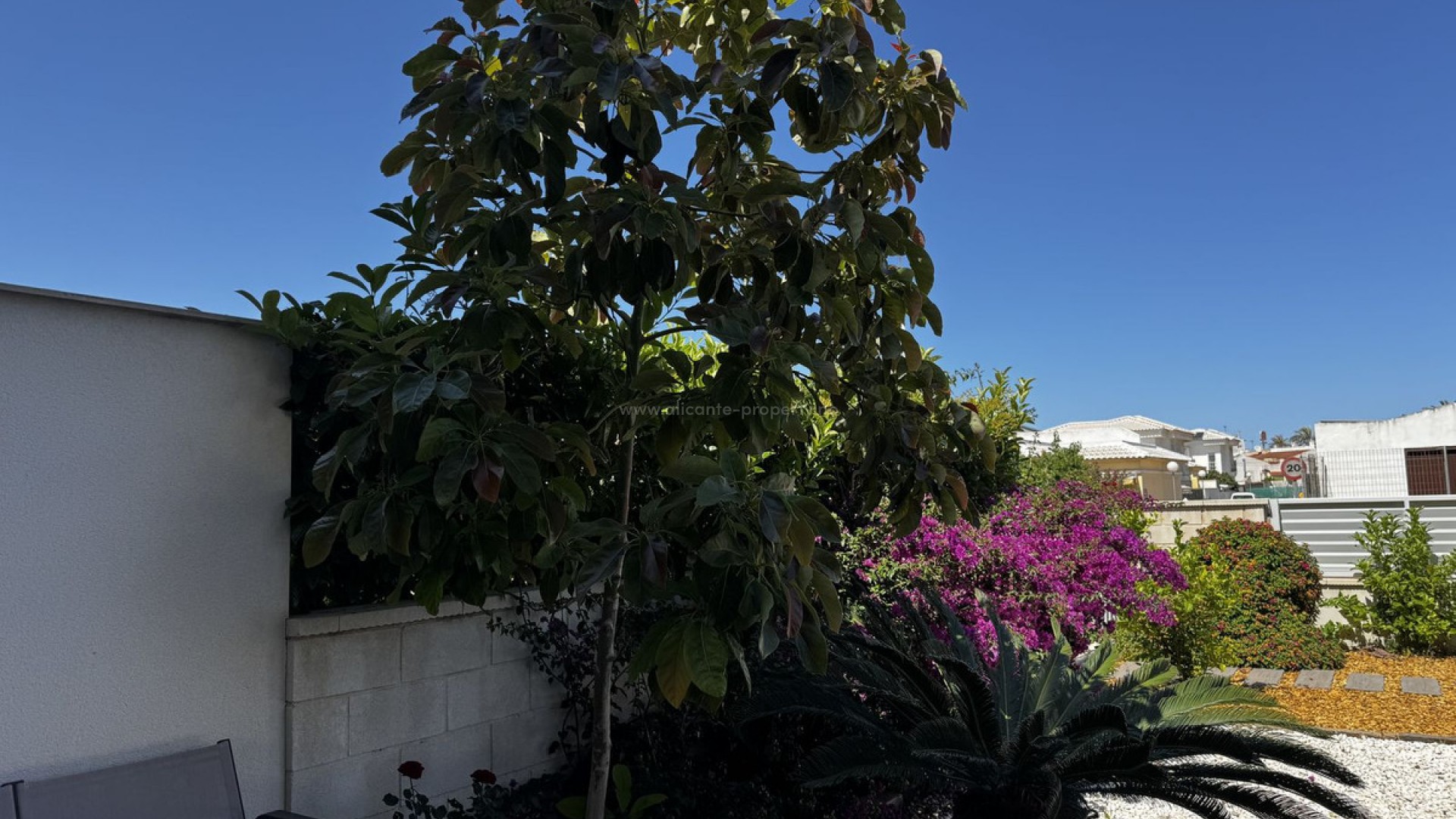 Leilighet / leilighet i Torrevieja Centro