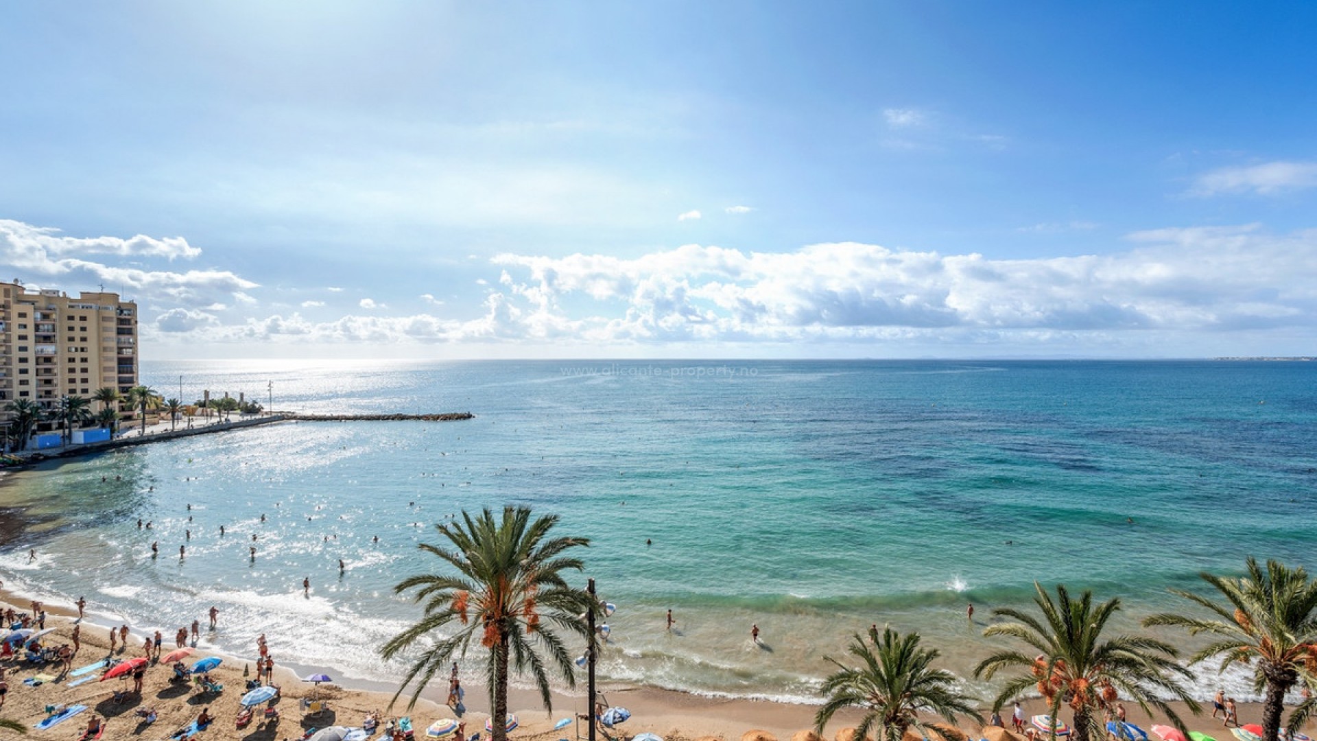 Leilighet / leilighet i Torrevieja Centro