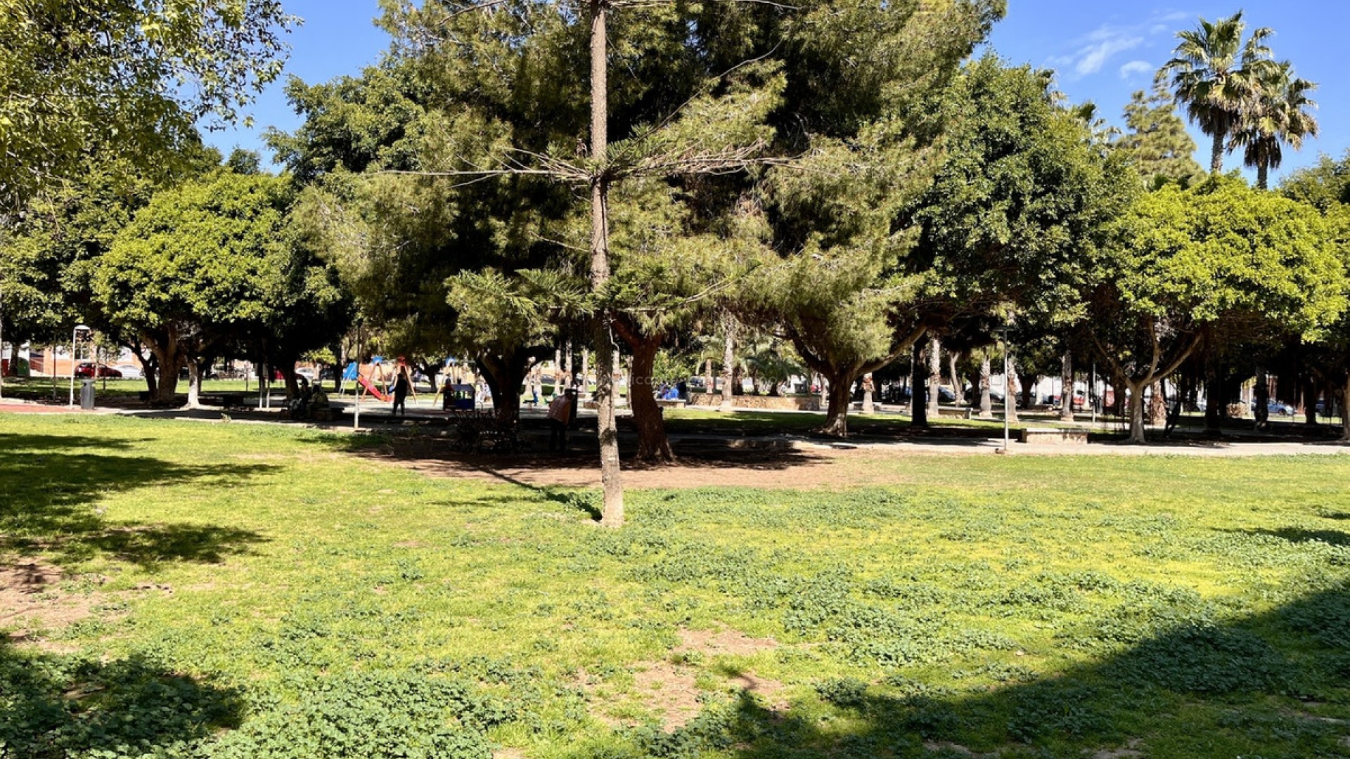 Leilighet / leilighet i Torrevieja Centro