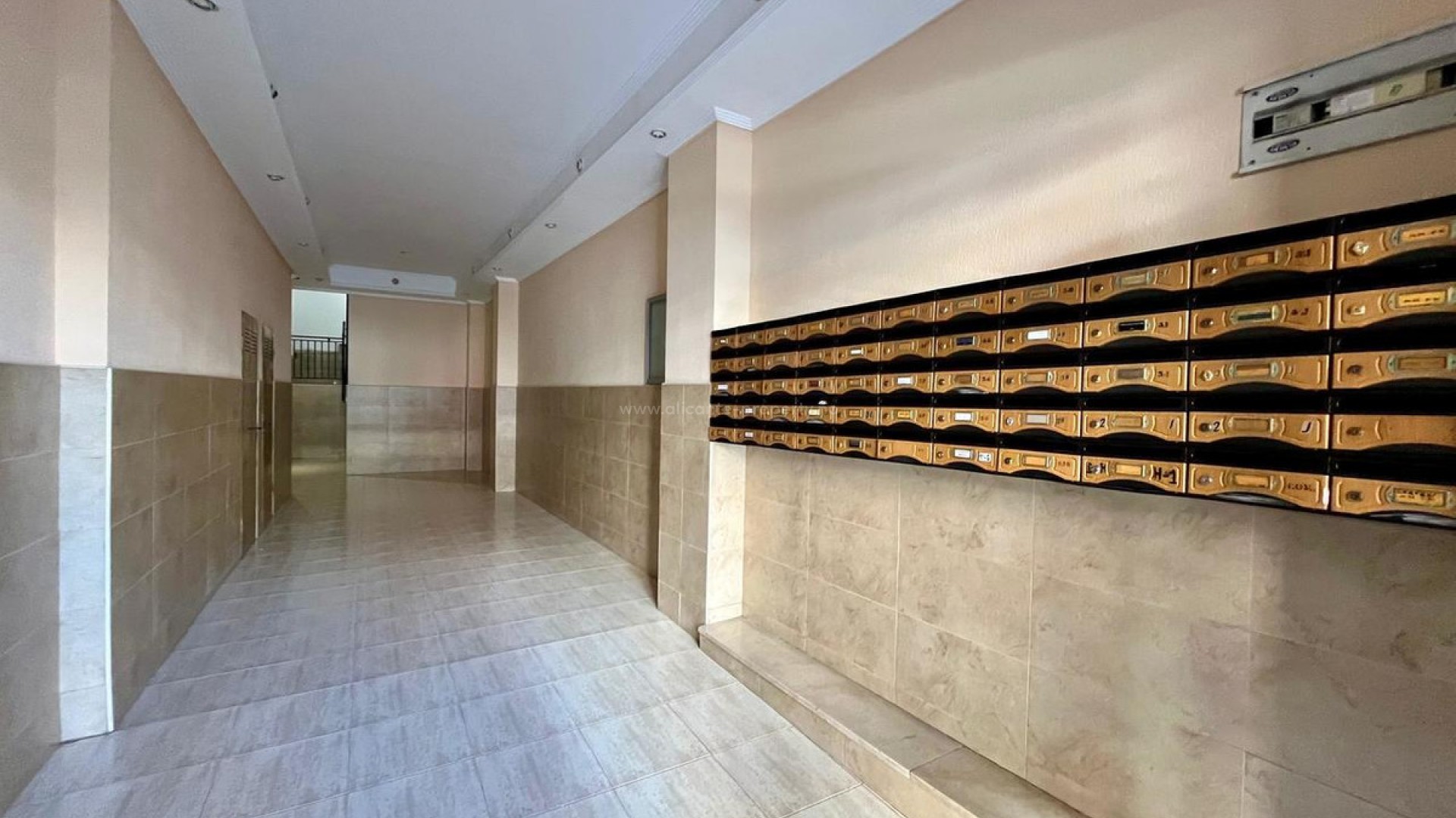 Leilighet / leilighet i Torrevieja Centro