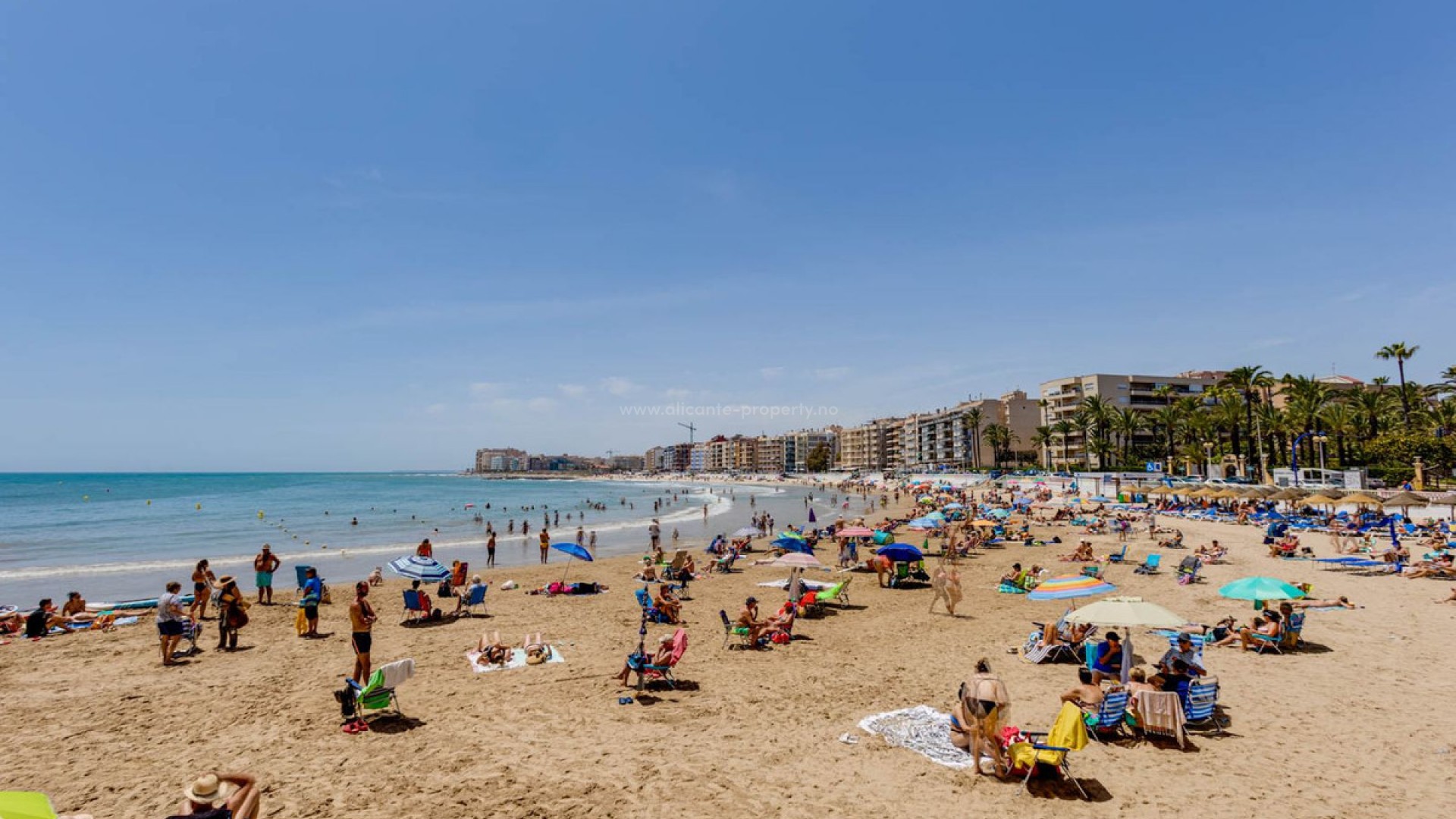 Leilighet / leilighet i Torrevieja Centro