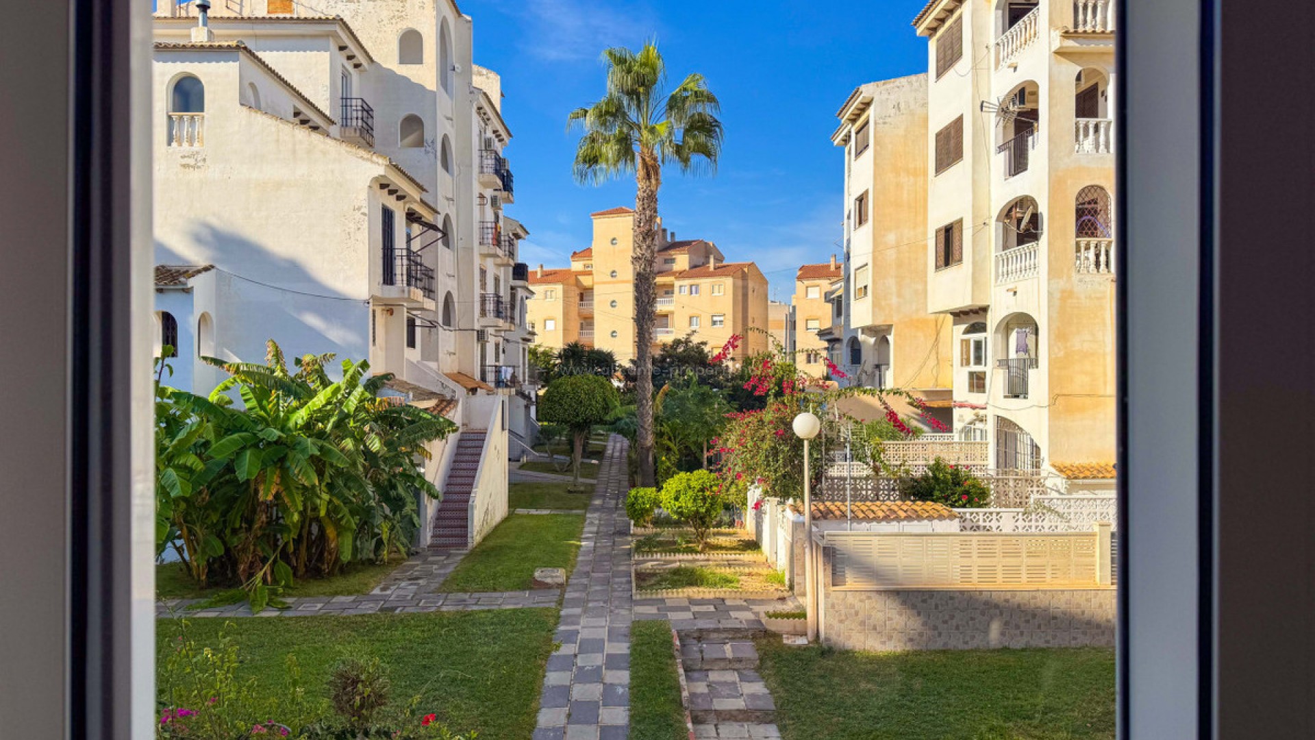 Leilighet / leilighet i Torrevieja Centro