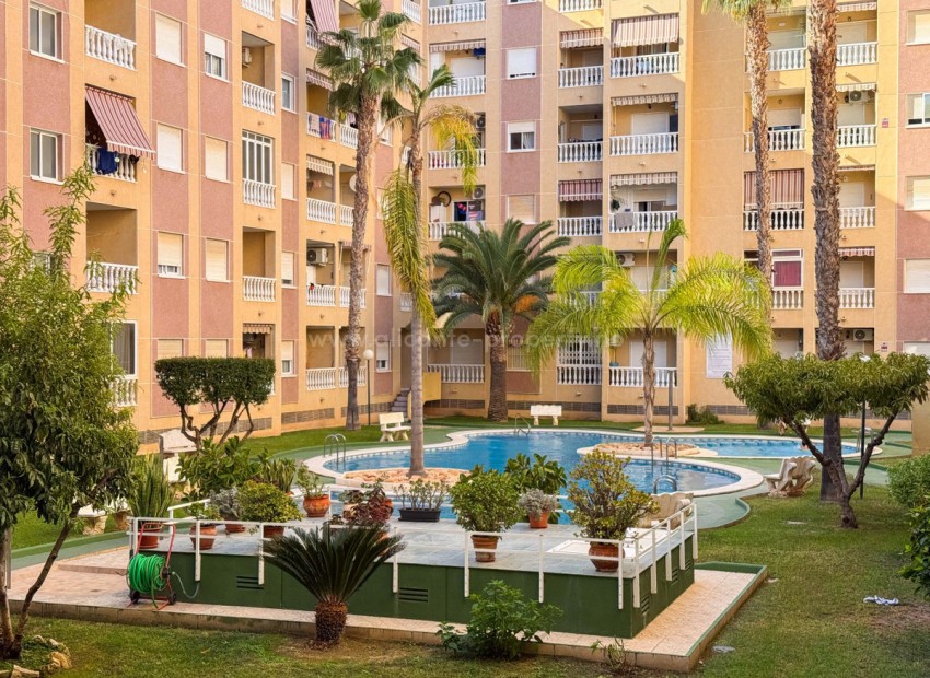 Leilighet / leilighet i Torrevieja Centro
