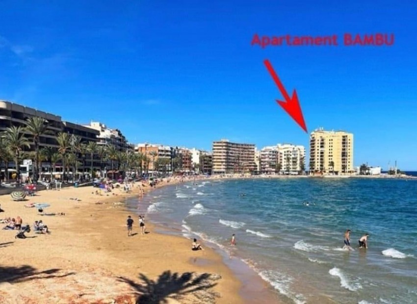 Leilighet / leilighet i Torrevieja Centro