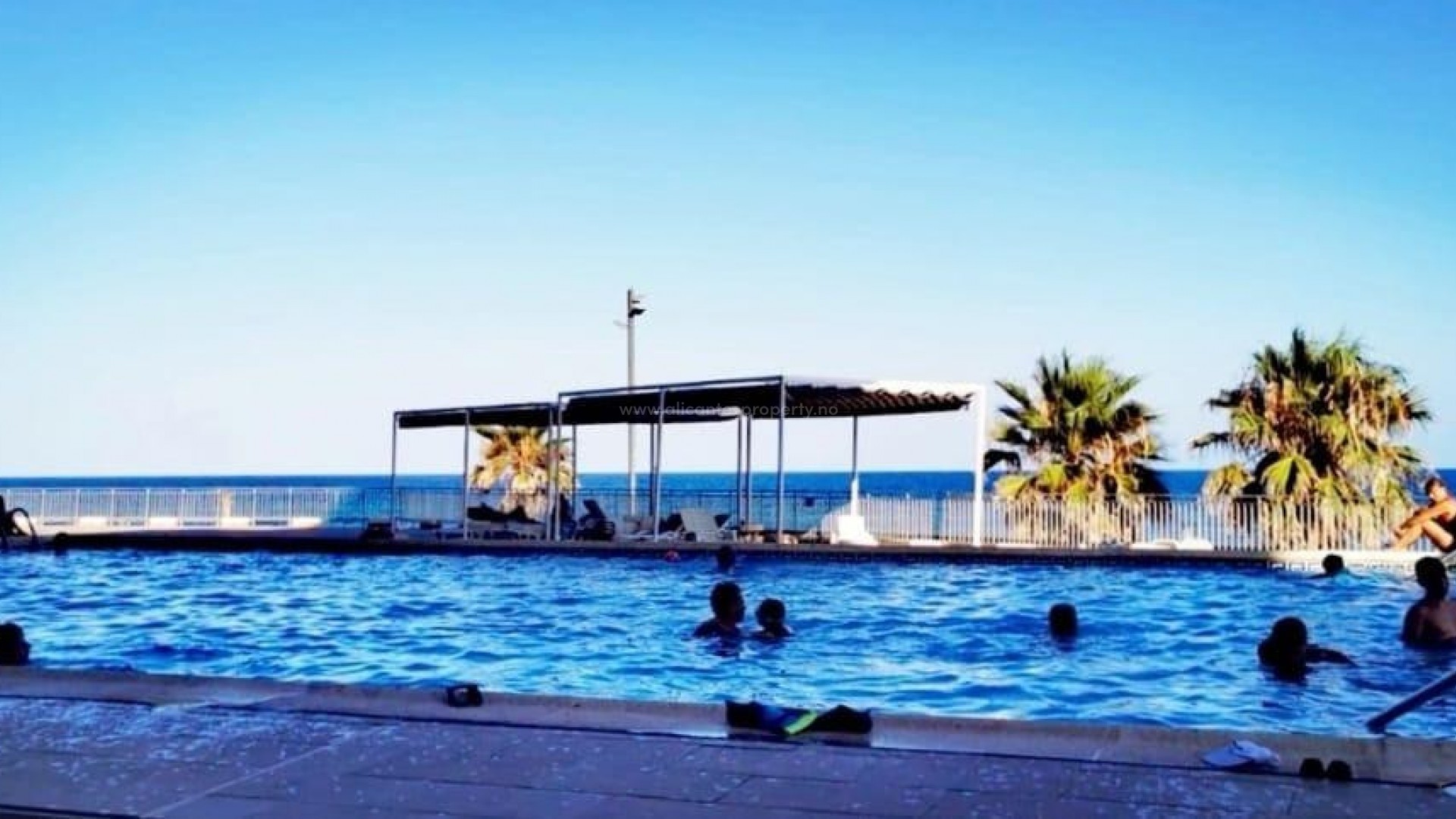 Leilighet / leilighet i Torrevieja Centro