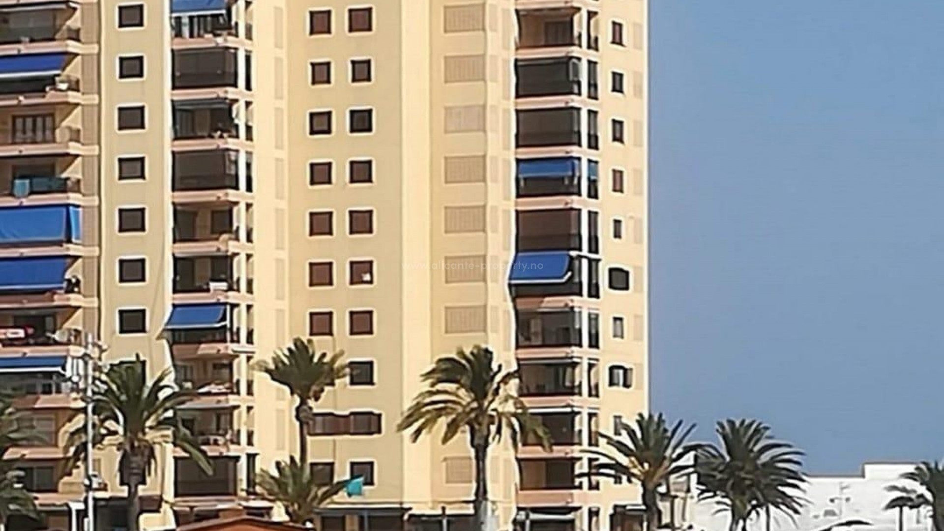 Leilighet / leilighet i Torrevieja Centro