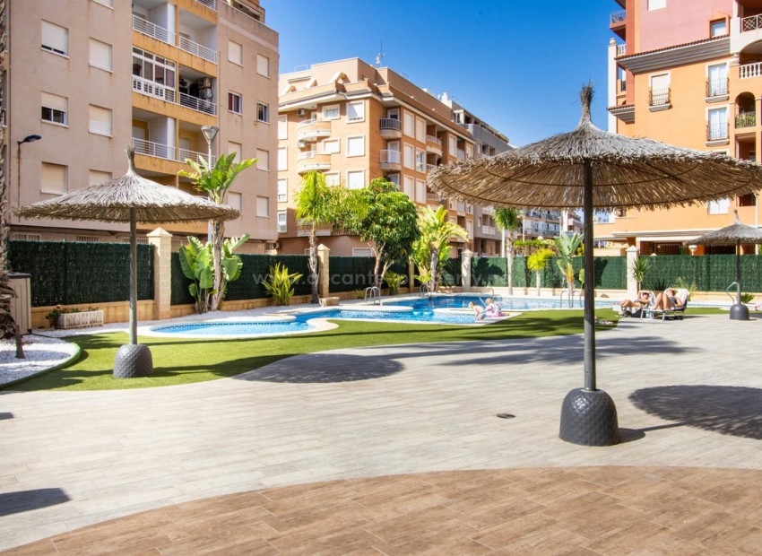 Leilighet / leilighet i Torrevieja Centro