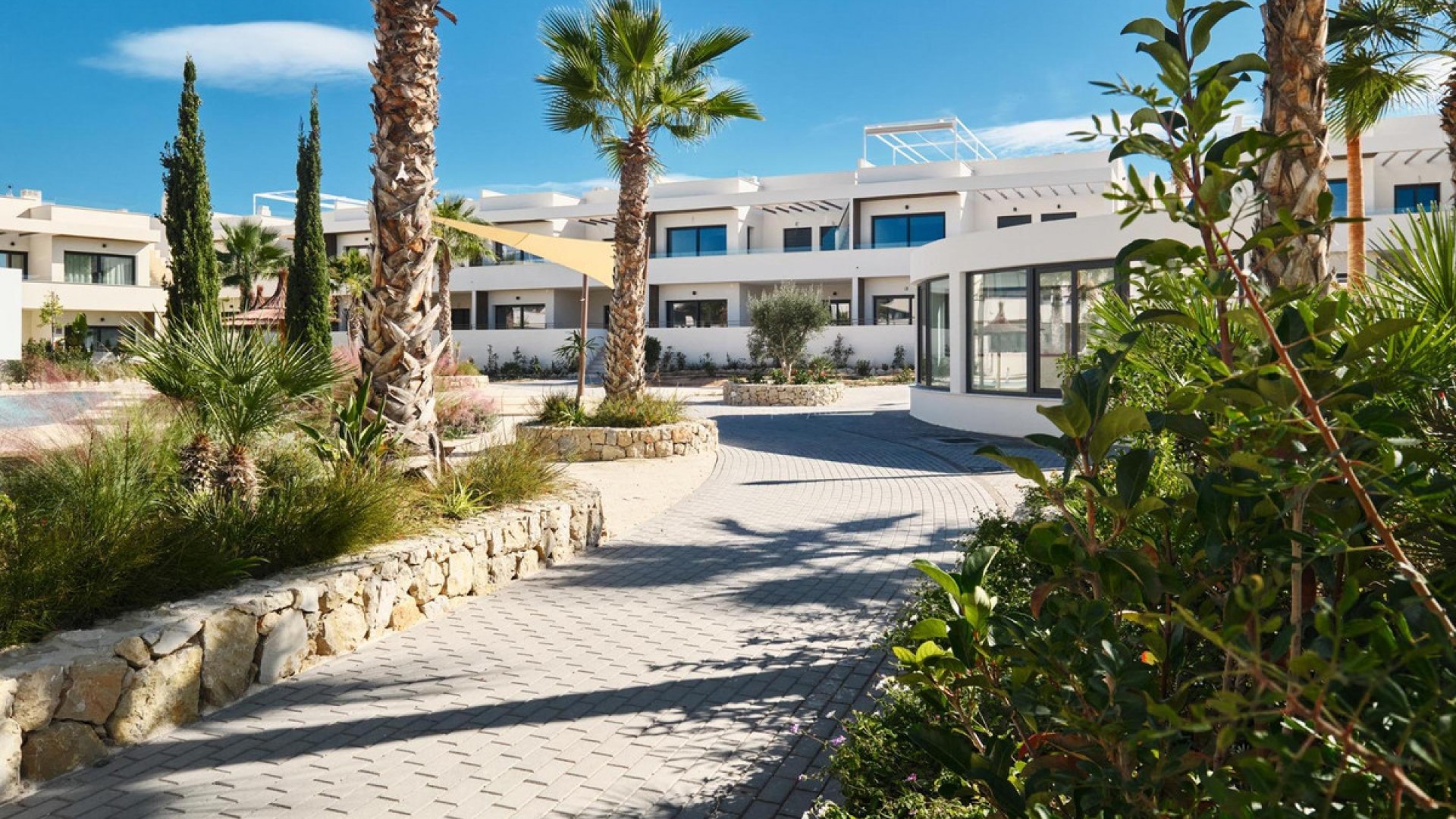 Leilighet / leilighet i Torrevieja Centro