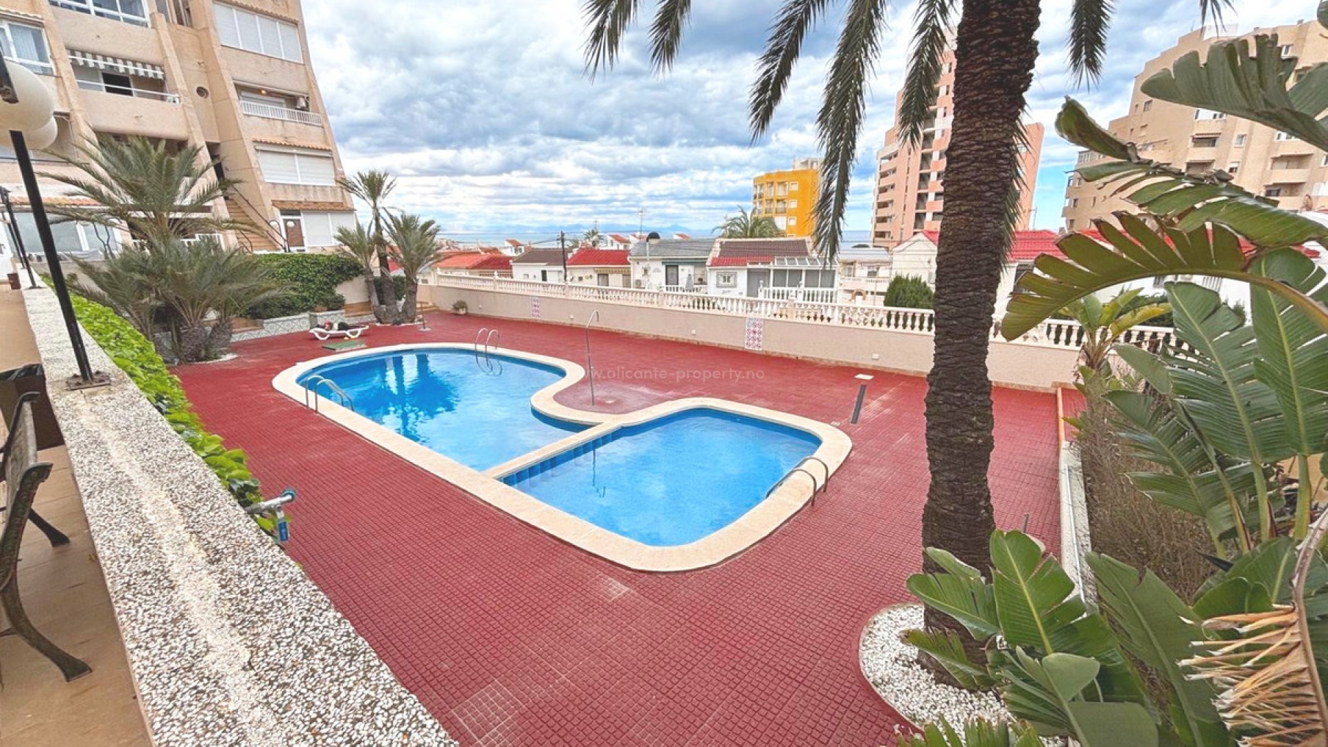 Leilighet / leilighet i Torrevieja Centro